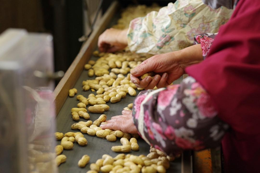 Bocchiのからつき Qなっつの商品画像9ec45496-725b-4c58-8b7c-bfa62ae538f2