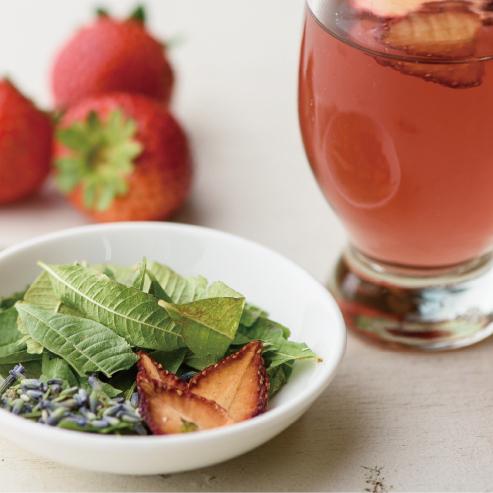 -の商品画像a24bbe17-b348-47c8-9231-fc9a8a85ee53