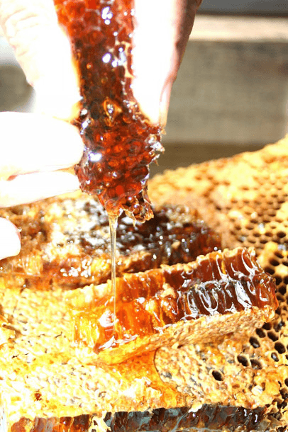 SHIMANTO LOCAL HONEYの商品画像a981be78-b494-43b5-ab65-0353f46fa08c