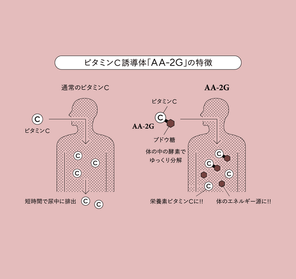 【健やかな身体のために/ビタミンCサプリメント(AA-2G)】プロビタC顆粒 の商品画像ae5760d7-8d6d-4293-b452-bf843d638f2a