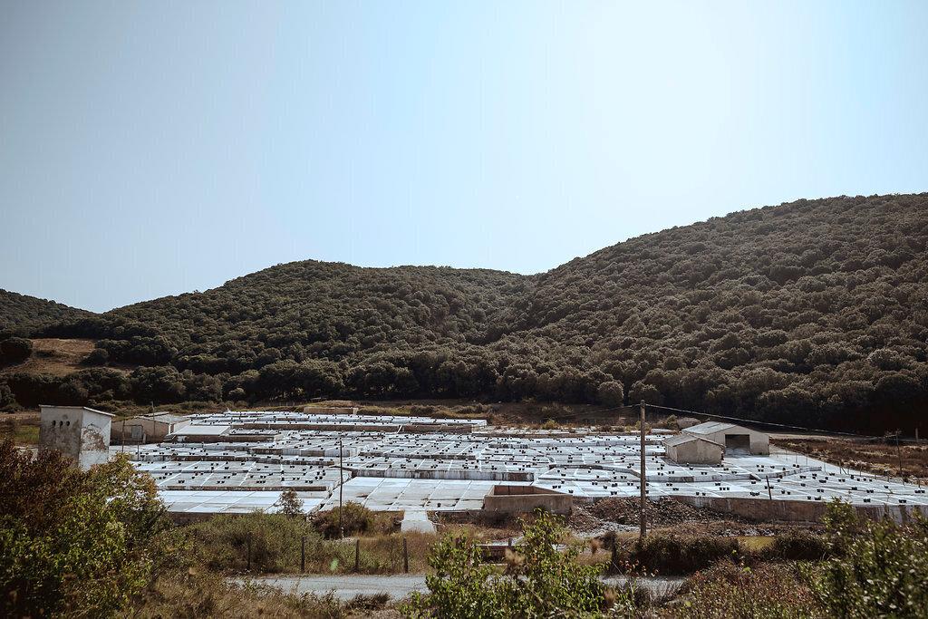 バスクの塩アンセストラル トラディショナル300gの商品画像b6f65bac-ed50-47db-8ce7-24ce2d57266f