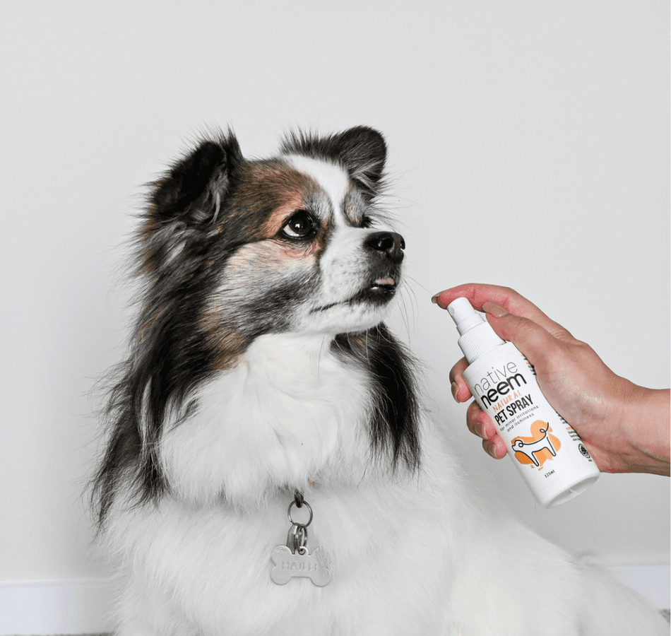 native neem ペットスプレー(125ml/1本)の商品画像bb1a90af-075d-4057-bf88-1e34b2bf9c4e