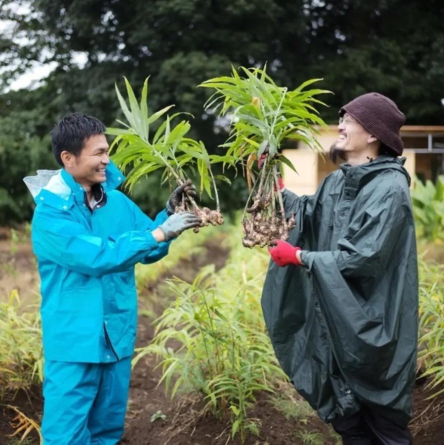 Organic KOMBUCHA(コンブチャ)「GINGER GROOVE」300ml の商品画像bd6b5b2d-65fe-4e71-b990-2f9dae04c50b