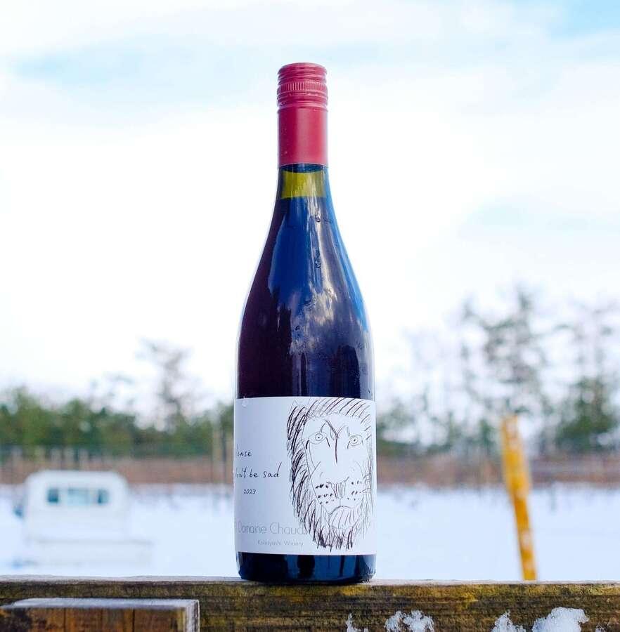 Please don't be sad 2023 / 悲しまないで|Domaine Chaudの商品画像c005bc26-982b-45d1-ac2e-3c0f2fd00b22