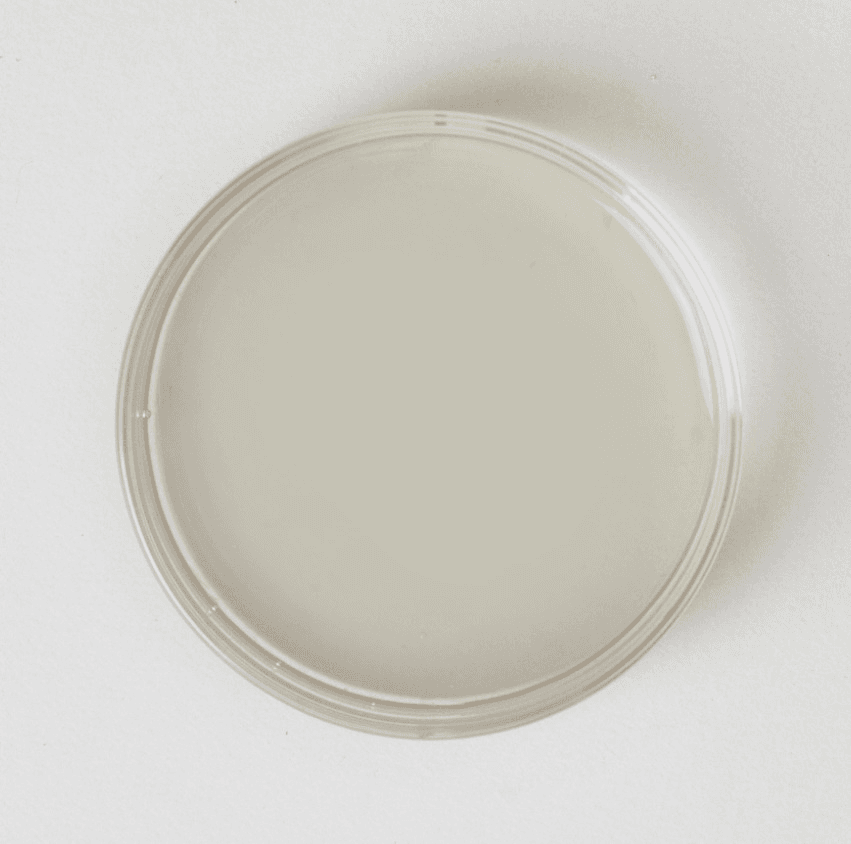 淡路橙(なると)オレンジピール 【蒸留水】の商品画像c429f644-2a0e-4095-ba33-7c1e04e66723