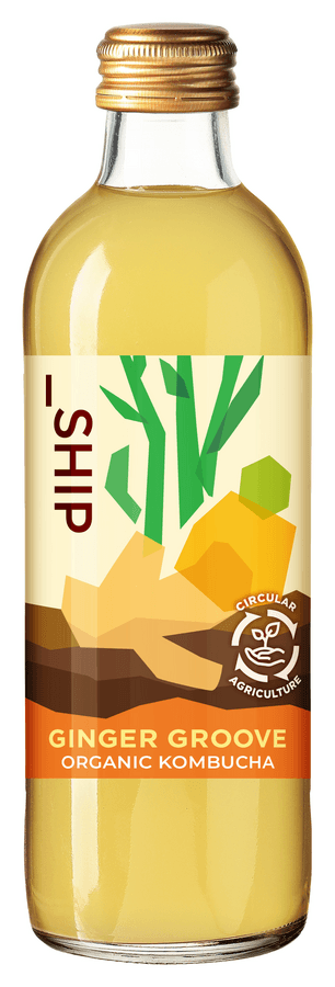 Organic KOMBUCHA(コンブチャ)「GINGER GROOVE」300ml の商品画像c430082f-832e-46d3-b46e-1a70f7e08263