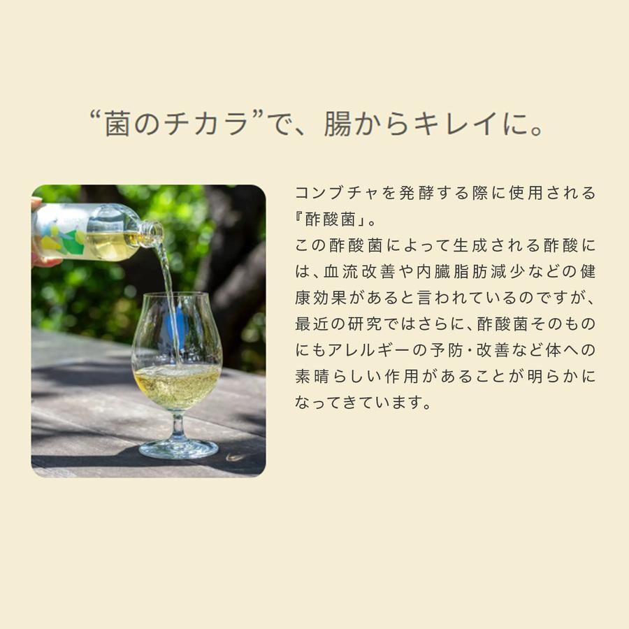 Organic KOMBUCHA(コンブチャ)「発酵_YUZU HEADS」300mlの商品画像c4d2fdca-2d61-49b0-b38e-e1c06370e014