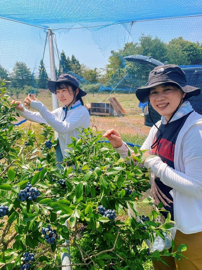 冷凍ブルーベリー☆加工用1㎏ 爽やかな酸味の完熟の冷凍能登ブルーベリーの商品画像c88be243-0ad9-4caa-85bc-269a5b2c56a6