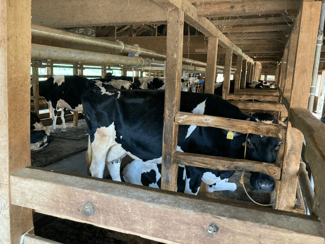 《手作りジャム》塩ミルク 120gの商品画像ca4e5d03-7688-426d-b4c0-fcc64b89accf