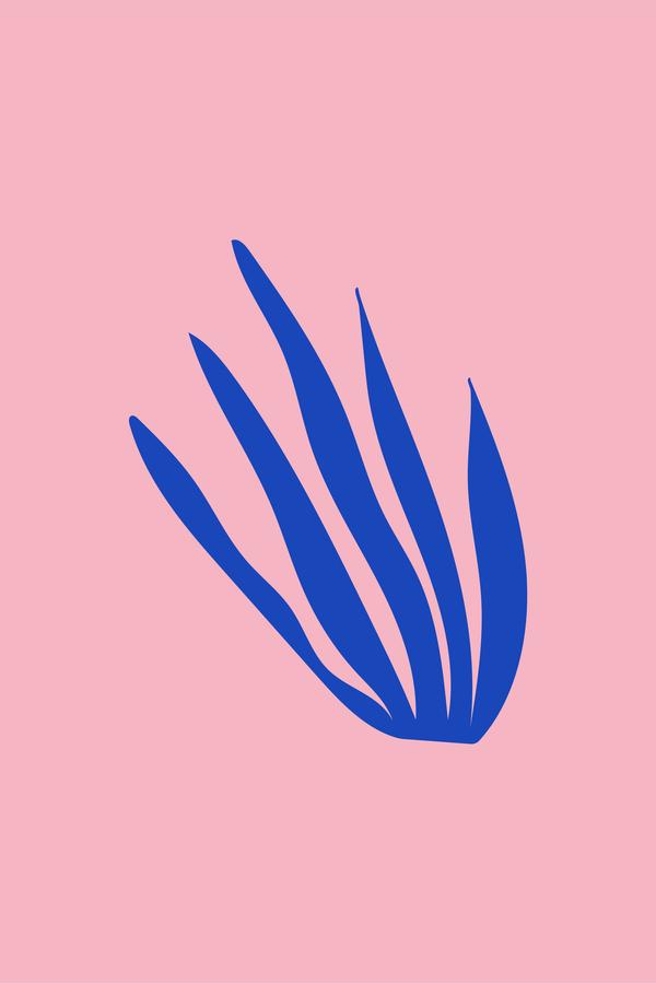 SANアソートボックス【シングル】 の商品画像cab6fb42-8ca2-46cf-869a-2ceaa9f127c5