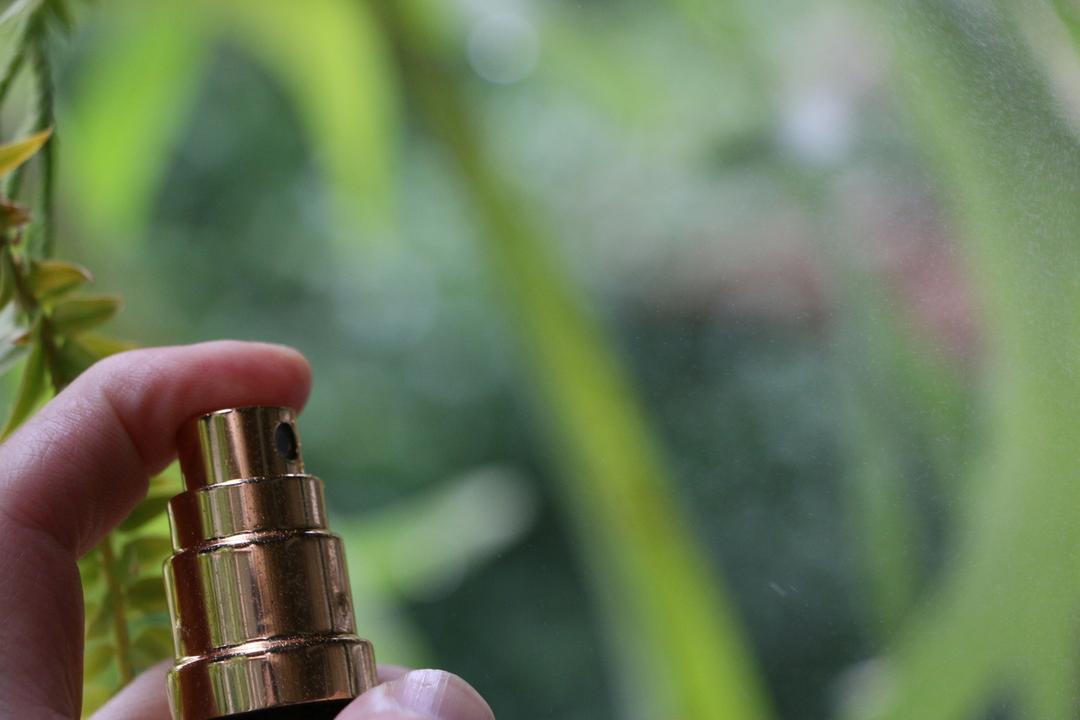 ドノスティアルームスプレーの商品画像d0755d0f-95f4-4f6d-90f7-f9783c215e15