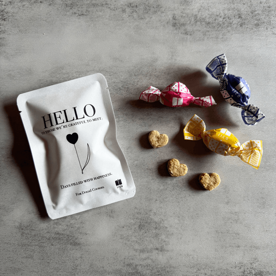 【犬のおやつ】ギフトリフィル - HELLO|小麦粉・米粉不使用|クッキーの商品画像d14acbb2-8b6b-40c3-9ec7-6636241867db