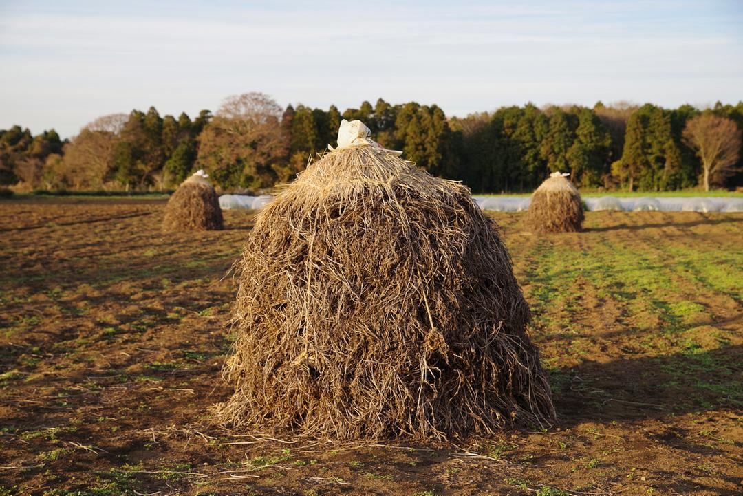 Bocchiのからつき Qなっつの商品画像d7f3681b-88f4-4e0e-adfd-cf7b47f8d4f7