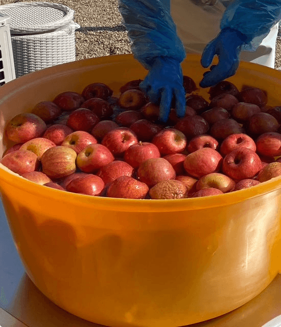 てとて2024(ふじ)375mlの商品画像dddb6495-90e7-4c3f-b457-35dc308f14e0