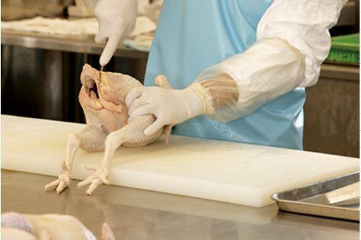 特産地鶏 青森シャモロック レバー 冷凍品の商品画像e9f09928-0fa7-4727-bdc3-faa6113f8b1f