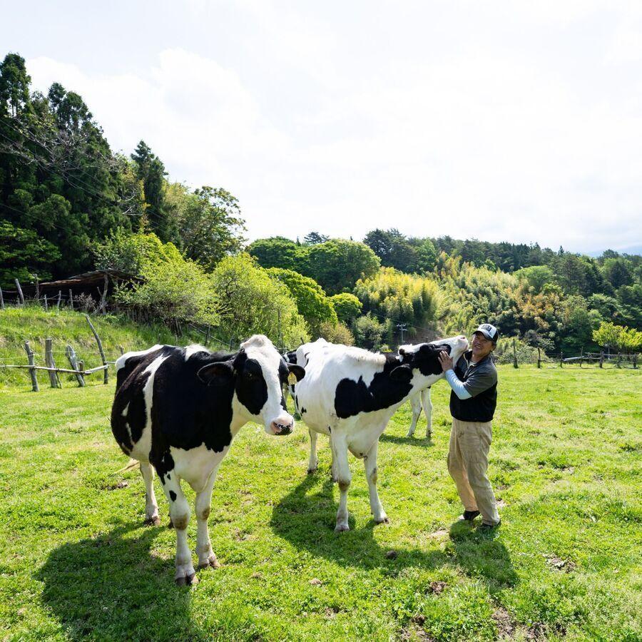 いちだヨーグルトシャインマスカットの商品画像ea2945b5-9f9a-41b3-ba9a-6400040eefee