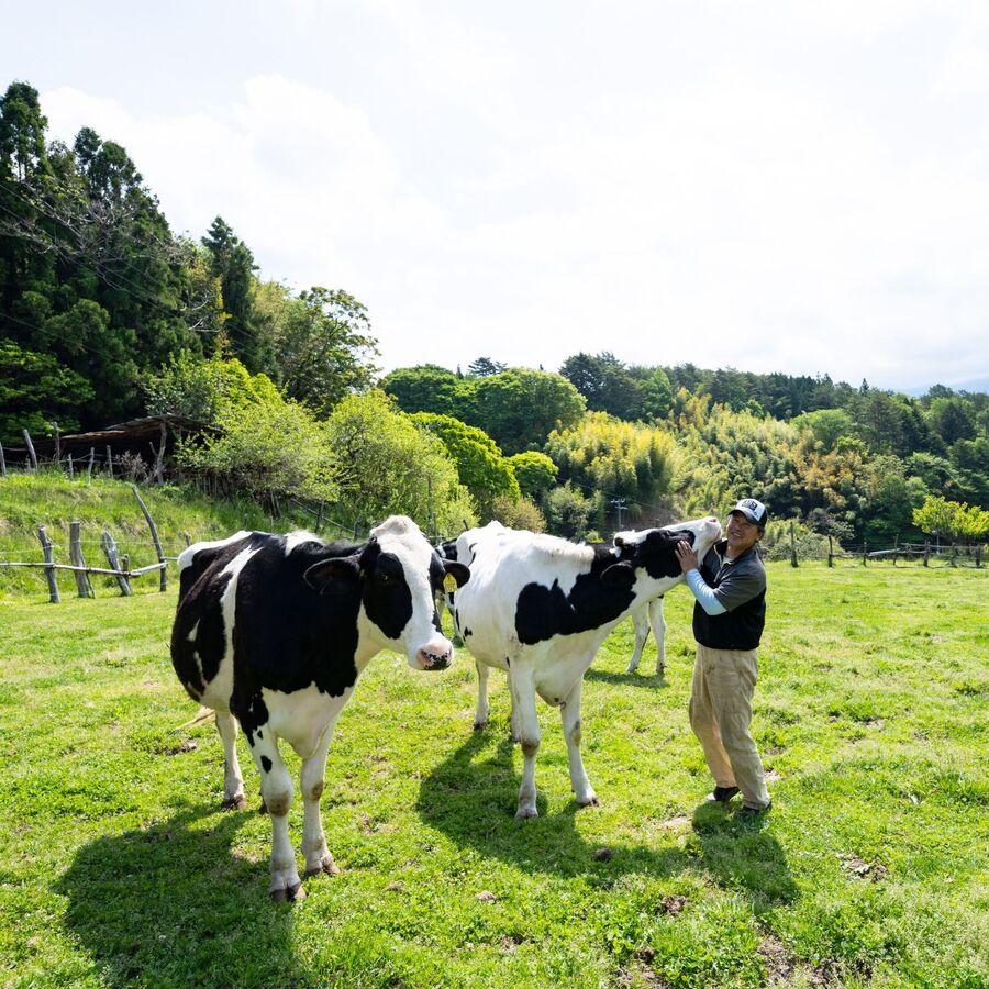 いちだヨーグルトの商品画像ea71c188-c55a-46de-b631-504dd38c6511