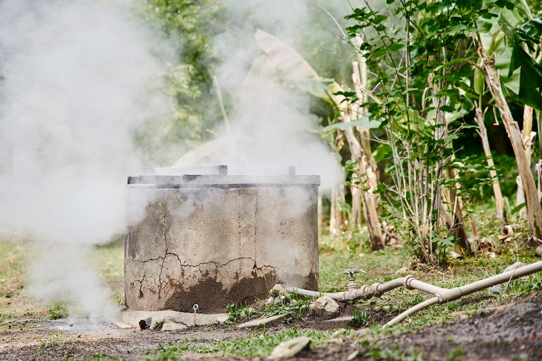 生姜百景-GINGER SHOT-(有機JAS認証取得)50mlの商品画像f26eb652-0b21-4d50-9e54-968e5d897b2a