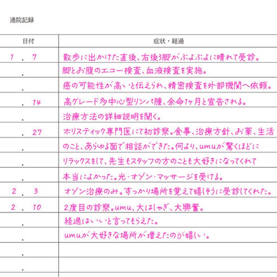 イイコの記し (犬と生きるための記録ノート)の商品画像f954dd7f-9bdc-47c3-a582-cf9ecd3eb159