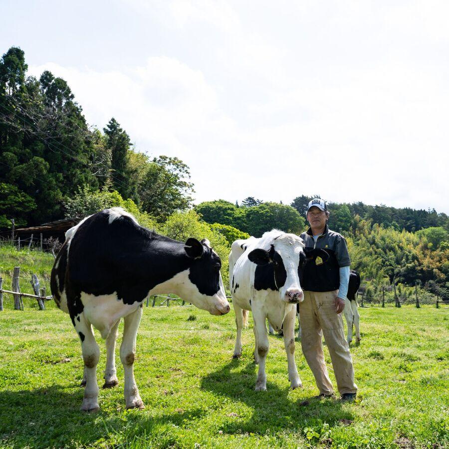 牛飼いの里プレーンヨーグルト の商品画像fd393855-2461-4dab-8f19-8da2ec42967b