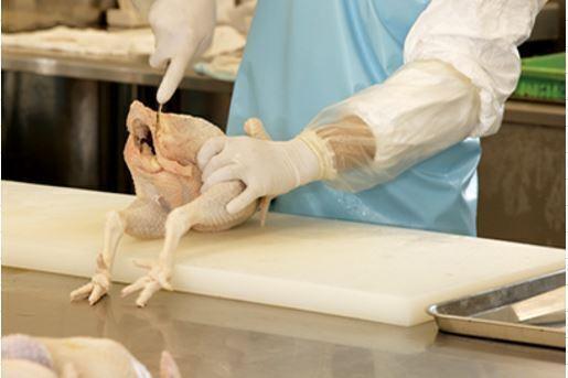 特産地鶏 青森シャモロック 手羽先 冷凍品の商品画像fe88170a-d93c-419c-ae8e-11d5ecd967d0