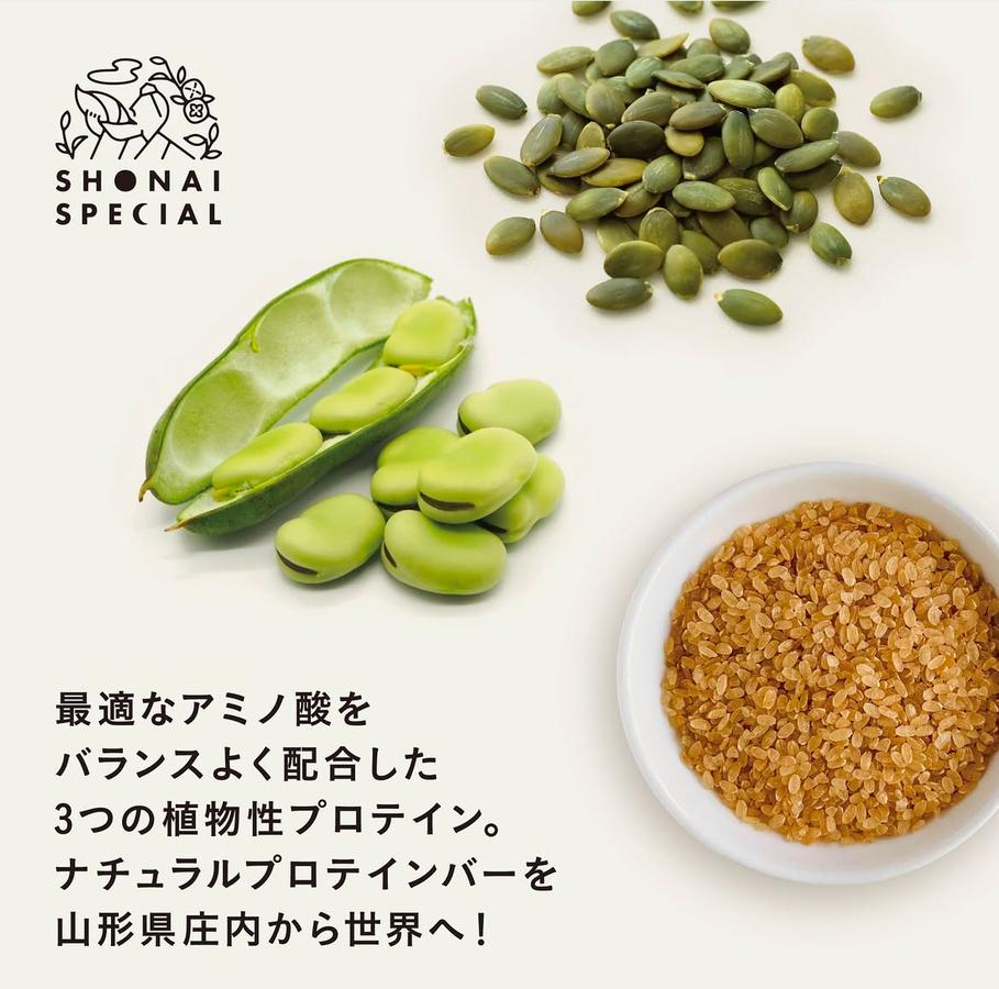 SHONAI SPECIAL プラントベースプロテインバー バナナチョコチップ 50gの商品画像feb04311-165c-4fc4-b316-71ec9d1e00c7