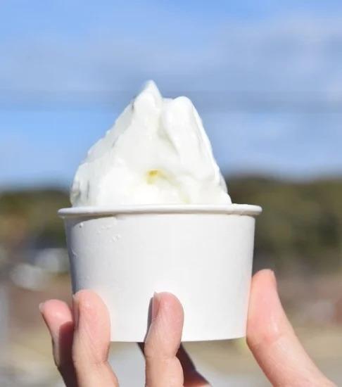 カップアイス 100mlの商品画像fedba7f4-b752-464a-a48b-1ad1101415cf